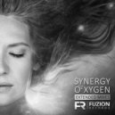 Synergy ft. Lenore Bowdler - Bonus Track: Years Go By