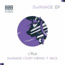 c.Rius - Swanage Court (Original Mix)