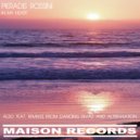 Pieradis Rossini - In My Heart (Alter-Nation Remix)