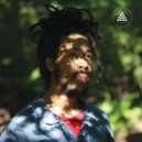 Ash Walker - Truffles