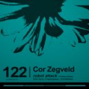 Cor Zegveld - Robot Attack (Original Mix)