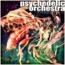 Psychedelic Orchestra - Chaplin\'s Dub (Original Mix)