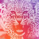 Collain - Sentinel