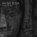 Pacius Elter - Sunderling (Original Mix)