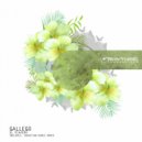 Gallego - El Viajero