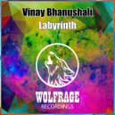 Vinay Bhanushali - Labyrinth