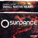 Sunken Lefort - Small Native Heart