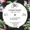 A Digital Needle - Sure Shot