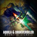 Aquila - Section IX (Drukverdeler & DJ Bim Remix)