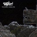 True Anomaly - Eccentricity