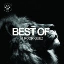M. Rodriguez - Back To Beginning