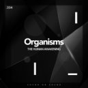 The Human Awakening - Pandemics