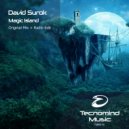 David Surok - Magic Island (Radio Edit)