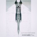 0010X0010 - HVMVNØID 7 plus plus