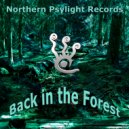 N3xu5 - Northern Psylight (Original Mix)