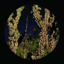 Owen Jay & Melchior Sultana - Zest (Original Mix)