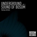 Sasskia - Beyond Humane