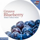 Gruuve - Blueberry
