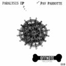 Pav Parrotte - Function Loss (Original Mix)
