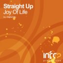 Straight Up - Joy Of Life (Radio Edit)