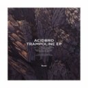 Acidbro - Acid