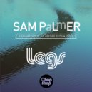 Sam Palmer - Blue Flamingo