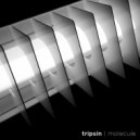 Tripsin - Molecule