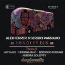 Alex Ferrer & Sergio Parrado - Missed My Bus