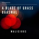 Baasmal & A Blade of Grass - Even Know