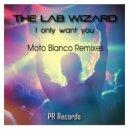 The Lab Wizard - I Only Want You (Moto Blanco Instrumental)
