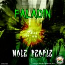 PALADIN - Mole People (Original Mix)