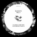 Frank Jr - Someones Theme (Took My Love Away)