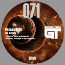 Perceptron - The Burning (Original Mix)