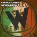 Citlali Rojas - Logging