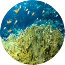 Domestic Science - A Billion Worlds