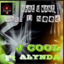 J Cool Feat Alynda - What You Want, What You Need (Original Mix)