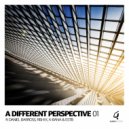 Asymmetric Soul - Diamonde (Est8 Remix)