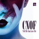 cnof - Night Miracles (Original Mix)