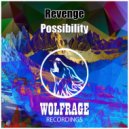 Revenge - Possibility (Original Mix)
