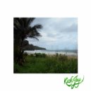 Vincent LekLou - OHH LA -LA