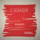 Amadeo - Roda