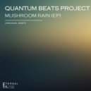 Quantum Beats Project - No Turning Back