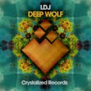 LDJ - Deep Wolf (Original Mix)