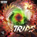 Subtonic - Trips (Original Mix)