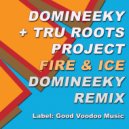 Domineeky & Tru Roots Project - Fire & Ice