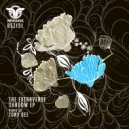 The Extraverse - Antelope