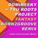 Domineeky & Tru Roots Project - Fantasy