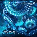 Audiodact - Adjusting
