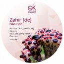 Zahir (De) - Pavu Sec (RVG Remix)