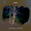 Evgeny - Autumn Chords (Kollektiv SGP Remix)